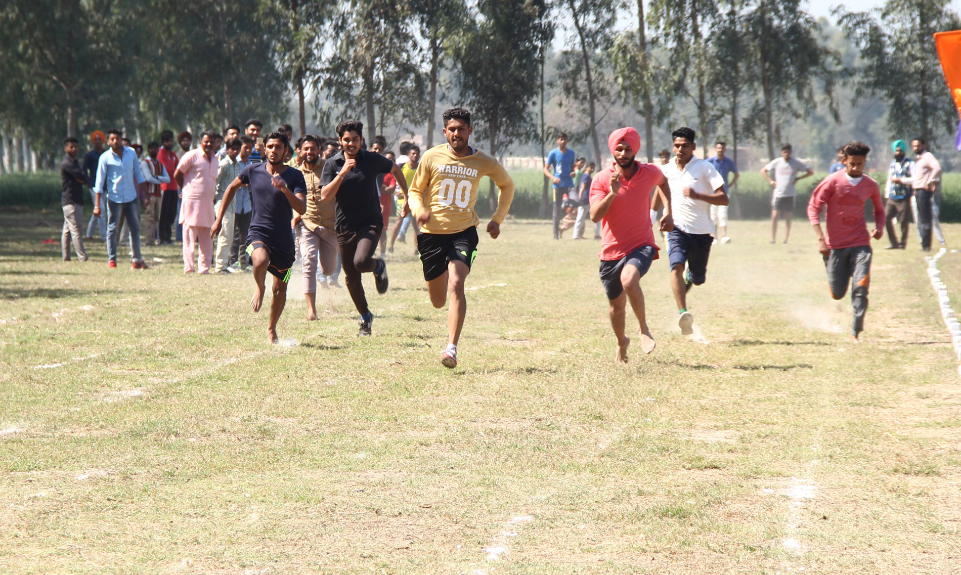 Bhai Maha Singh College of IT & Life Sciences B.com image